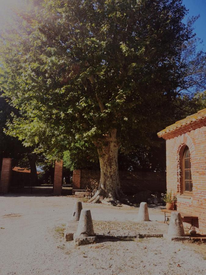 Villa Mas Sant Jordi Alénya Esterno foto